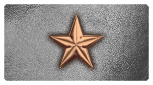 DSC700 430 BZ SL Star Bronze Silver